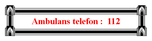 Textruta: Ambulans telefon :  112